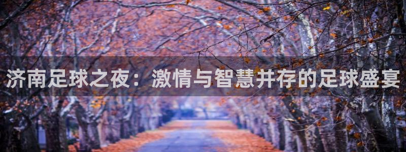济南足球之夜：激情与智慧并存的足球盛宴