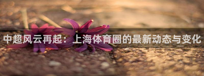 中超风云再起：上海体育圈的最新动态与变化