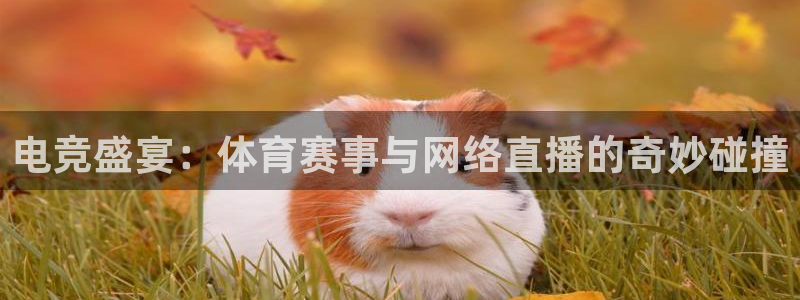 电竞盛宴：体育赛事与网络直播的奇妙碰撞