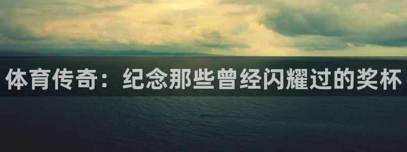 体育传奇：纪念那些曾经闪耀过的奖杯