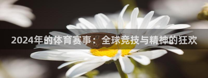 2024年的体育赛事：全球竞技与精神的狂欢