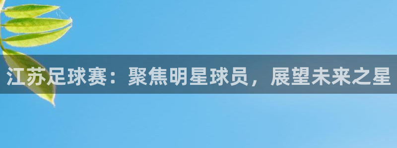 江苏足球赛：聚焦明星球员，展望未来之星