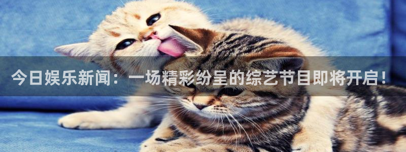 今日娱乐新闻：一场精彩纷呈的综艺节目即将开启！