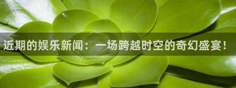 近期的娱乐新闻：一场跨越时空的奇幻盛宴！
