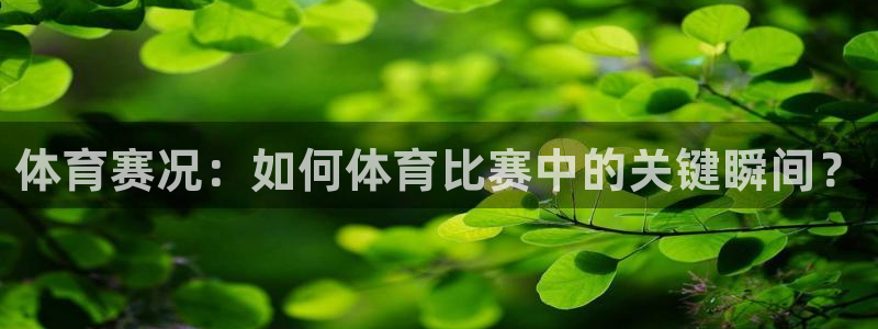 体育赛况：如何体育比赛中的关键瞬间？